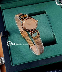 Đồng hồ DKNY NY2102 - Nữ - Quartz (PIn) Dây Kim Loại - Chính Hãng